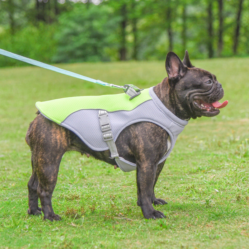 Summer Cooling Vest for Dogs
